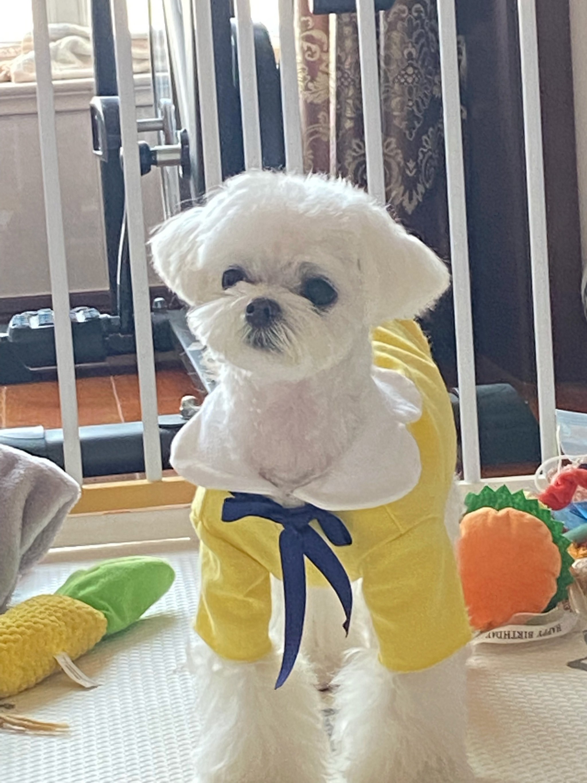 久久精品这里都是精品免费,久久久高清免费视频,印度最猛性性xxxxxbbbbb